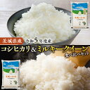 【ふるさと納税】【 令和5年度産 】 茨城県産 コシヒカリ ・ ミルキークイーン 食べ比べ セット ( 10kg ・ 20kg ) 食べ比べ 2種 お米 米 コメ 白米 茨城県 精米 新生活 応援