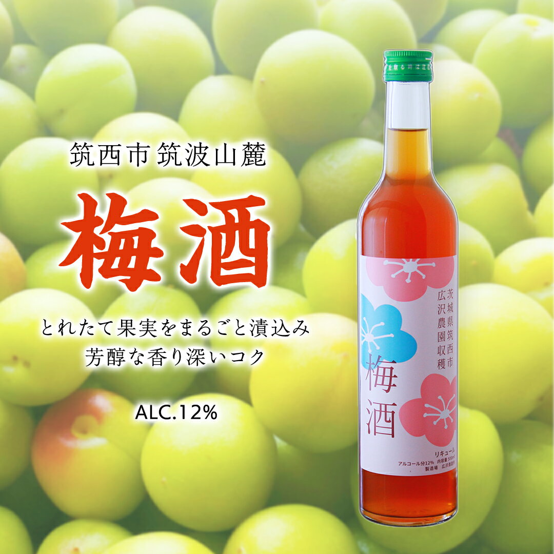 【ふるさと納税】梅酒 アルコール 12％ （ 500ml × 1本 ） 果実酒 お酒 酒 梅 うめ ウメ