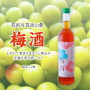 yӂ邳Ɣ[Łz~ AR[ 12 i 500ml ~ 1{ j ʎ   ~  E