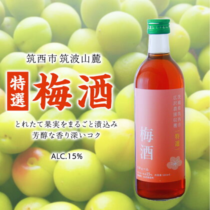 【 特選 】 梅酒 アルコール 15％（ 500ml × 1本 ） 果実酒 お酒 酒 梅 うめ ウメ