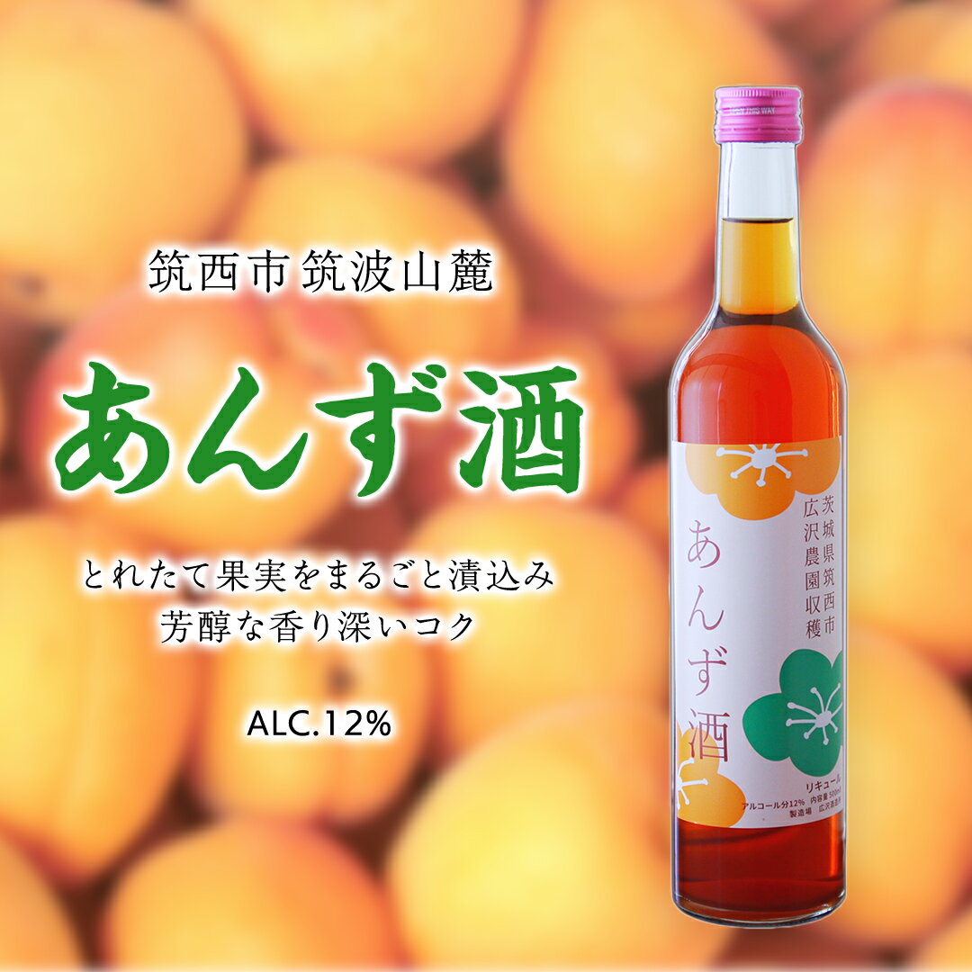 【ふるさと納税】あんず酒 アルコール 12％（ 500ml × 1本 ） 果実酒 お酒 酒 あんず