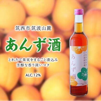 あんず酒 アルコール 12％（ 500ml × 1本 ） 果実酒 お酒 酒 あんず