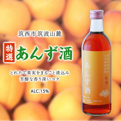 【 特選 】 あんず酒 アルコール 15％ （ 500ml × 1本 ） 果実酒 お酒 酒 あんず