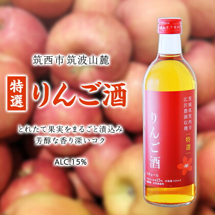 【 特選 】 りんご酒 アルコール 15％ （ 500ml × 1本 ） 果実酒 お酒 酒 リンゴ りんご 林檎