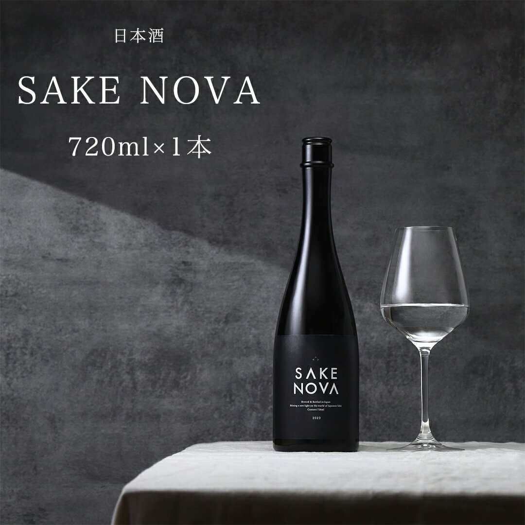 【ふるさと納税】SAKE NOVA 日本酒 酒 サケ