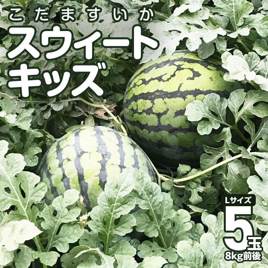 【ふるさと納税】【 筑西市産 】 甘くておいしい 「 こだますいか 」 5玉入り スウィートキッズ すい...