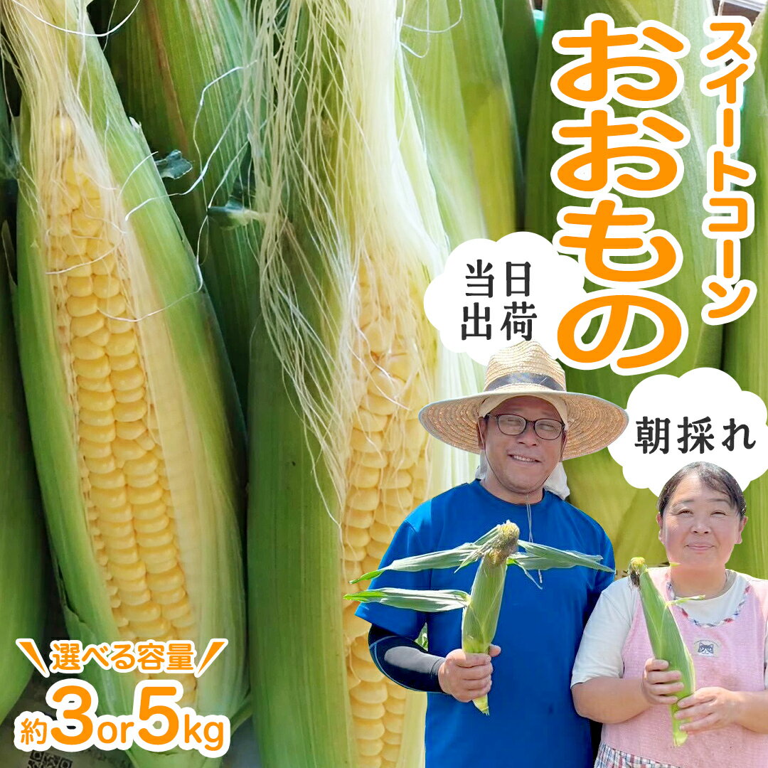 【ふるさと納税】【 朝採れ 当日出荷 】 スイートコーン 「 おおもの 」 ( 選べる 内容量 ) 3kg 5kg 甘い 新鮮 皮付き トウモロコシ とうもろこし コーン 野菜