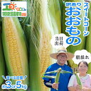 【ふるさと納税】【 朝採れ 当日出荷 】 訳あり スイートコーン 「 おおもの 」 ( 選べる 内容量 ) 3kg 5kg 特別栽培農産物 特別栽培 甘い 新鮮 皮付き トウモロコシ とうもろこし コーン 野菜
