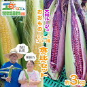 【ふるさと納税】【 朝採れ 当日出荷 】 スイートコーン 2種 ( 大和ルージュ ・ おおもの ) 食べ比べ セット 約3kg 特別栽培農産物 特別栽培 甘い 新鮮 皮付き トウモロコシ とうもろこし コーン 野菜