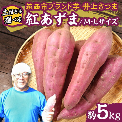 【ふるさと納税】【 よしのいも 】井上さつま 「 紅あずま 」 M・Lサイズ 約5kg (選べる 土付き / 土なし ) 完熟 さつまいも いも おいも 焼き芋 芋 おやつ まごころ野菜よしの 【ふるさと納税】【 よしのいも 】井上さつま 「 紅あずま 」 M・Lサイズ 約5kg (選べる 土付き / 土なし ) 完熟 さつまいも いも おいも 焼き芋 芋 おやつ まごころ野菜よしの
