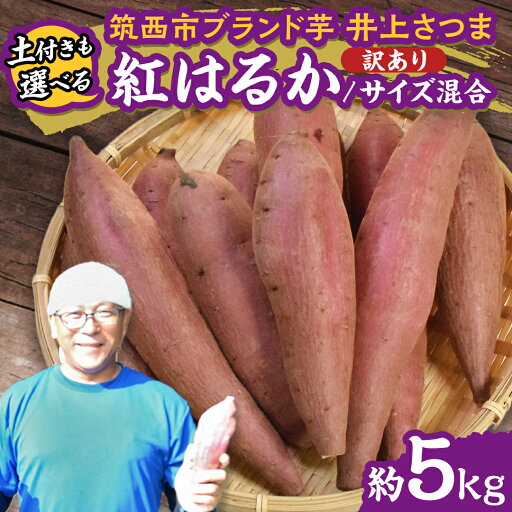 【ふるさと納税】【 よしのいも 】訳あり 井上さつま 「 紅はるか 」 サイズ混合 約5kg ( 選べる 土付き / 土なし ) 完熟 さつまいも いも おいも 焼き芋 芋 おやつ まごころ野菜よしの 【ふるさと納税】【 よしのいも 】訳あり 井上さつま 「 紅はるか 」 サイズ混合 約5kg ( 選べる 土付き / 土なし ) 完熟 さつまいも いも おいも 焼き芋 芋 おやつ まごころ野菜よしの