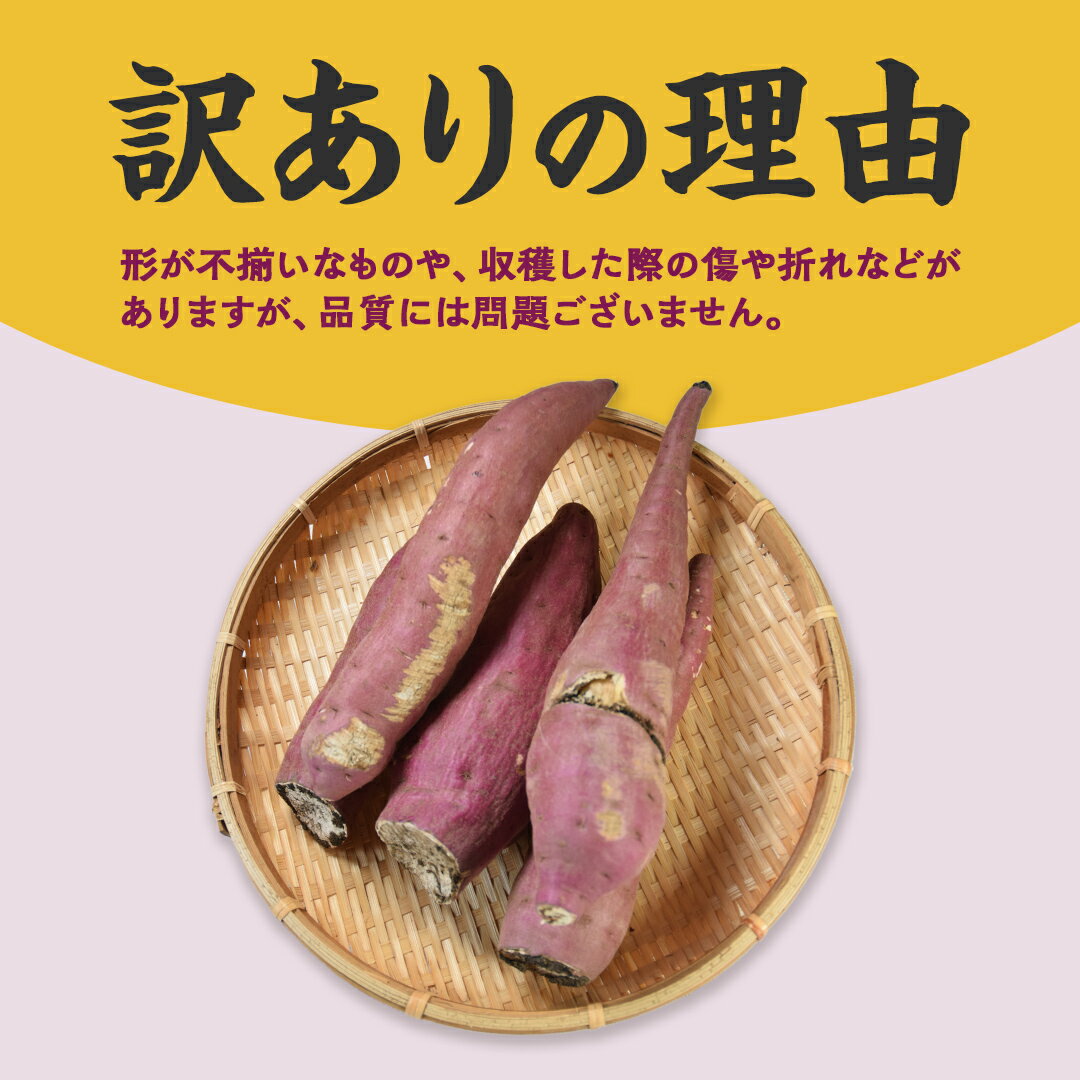 【ふるさと納税】【 よしのいも 】訳あり 井上さつま 「 シルクスイート 」 サイズ混合 約5kg ( 選べる 土付き / 土なし ) 完熟 さつまいも いも おいも 焼き芋 芋 おやつ まごころ野菜よしの