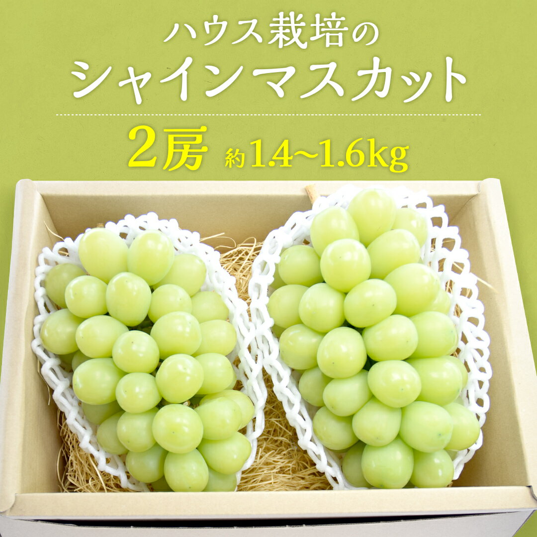 【ふるさと納税】ハウス栽培 の シャインマスカット 2房 ( 約1.4kg~1.6kg ) 令和7年産 先行予約 ぶどう ブドウ 葡萄 フルーツ