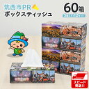 【ふるさと納税】スピード発送!! 筑西市PR ボックスティッシュ 60箱 ( 5個入り × 12セット ) 1箱200組 400枚 パルプ100% 非売品 ティッシュ ティッシュペーパー 日用品 消耗品 常備品 まとめ買い スピード配送