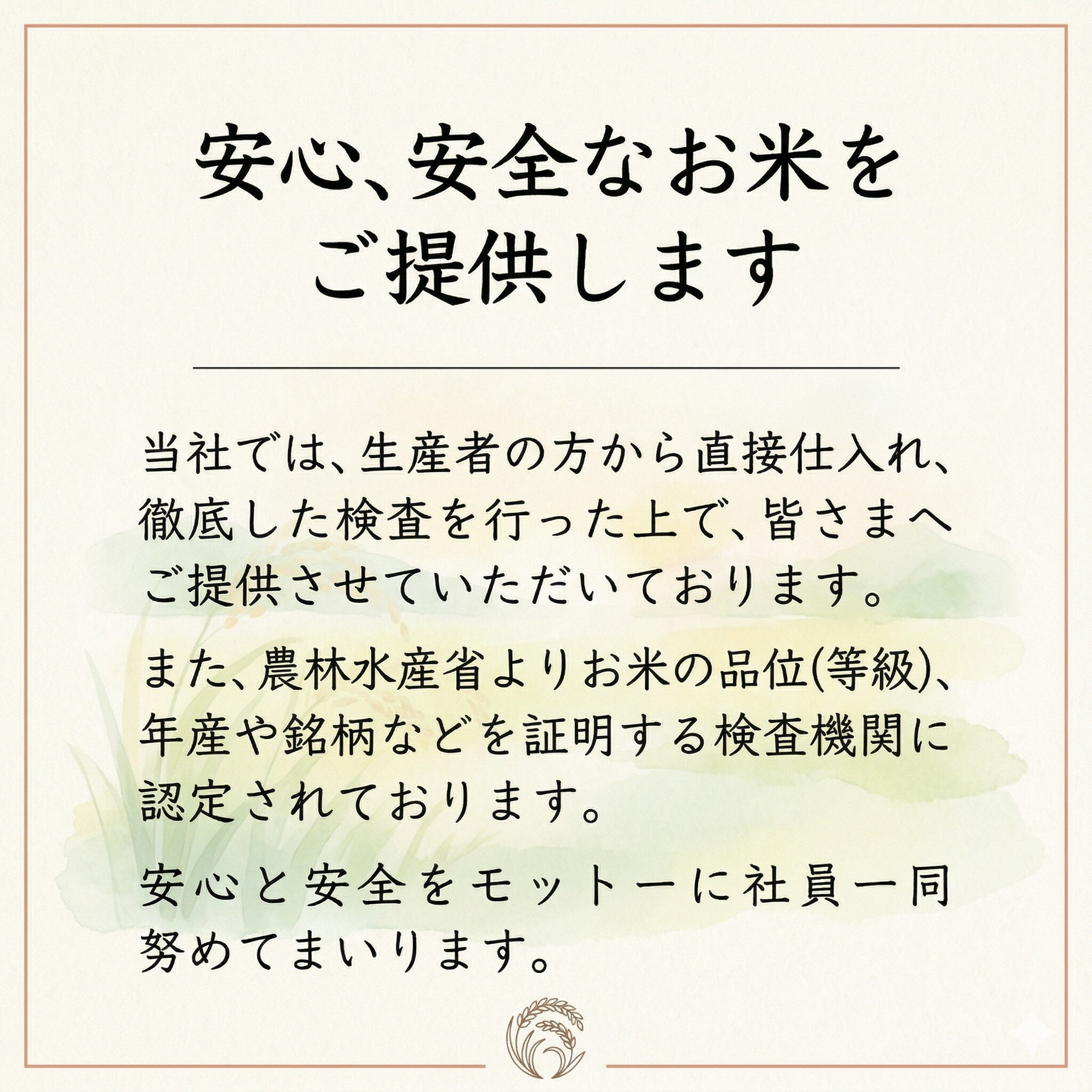 【ふるさと納税】 スピード発送 令和7年産 精米 茨城県産 ミルキークイーン 10kg 20kg 選べる容量 最短7営業日発送 米 お米 ご飯 ごはん コメ 白米 ライス こしひかり 米10kg 10キロ 銘柄米 茨城県 新生活 応援 kome okome 茨城県産 国産 産地直送 ※ 関東 茨城 筑西