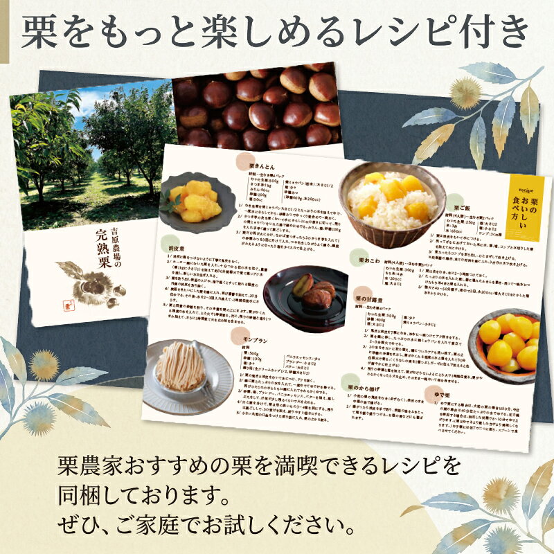 【ふるさと納税】 先行受付 栗 生むき栗 選べる容量 3袋 / 5袋 / 10袋 大粒 令和8年産 完熟 栗 くり クリ kuri 栗ごはん 栗スイーツ なまぐり 和栗 わぐり 先行受付 秋の味覚 マロン 和菓子 栗きんとん 数量限定 贈答 ギフト 数量限定 旬 秋 冬 正月 おせち 茨城県 筑西市 f082279-chikusei-10000819 茨城県筑西市 サンプル画像3