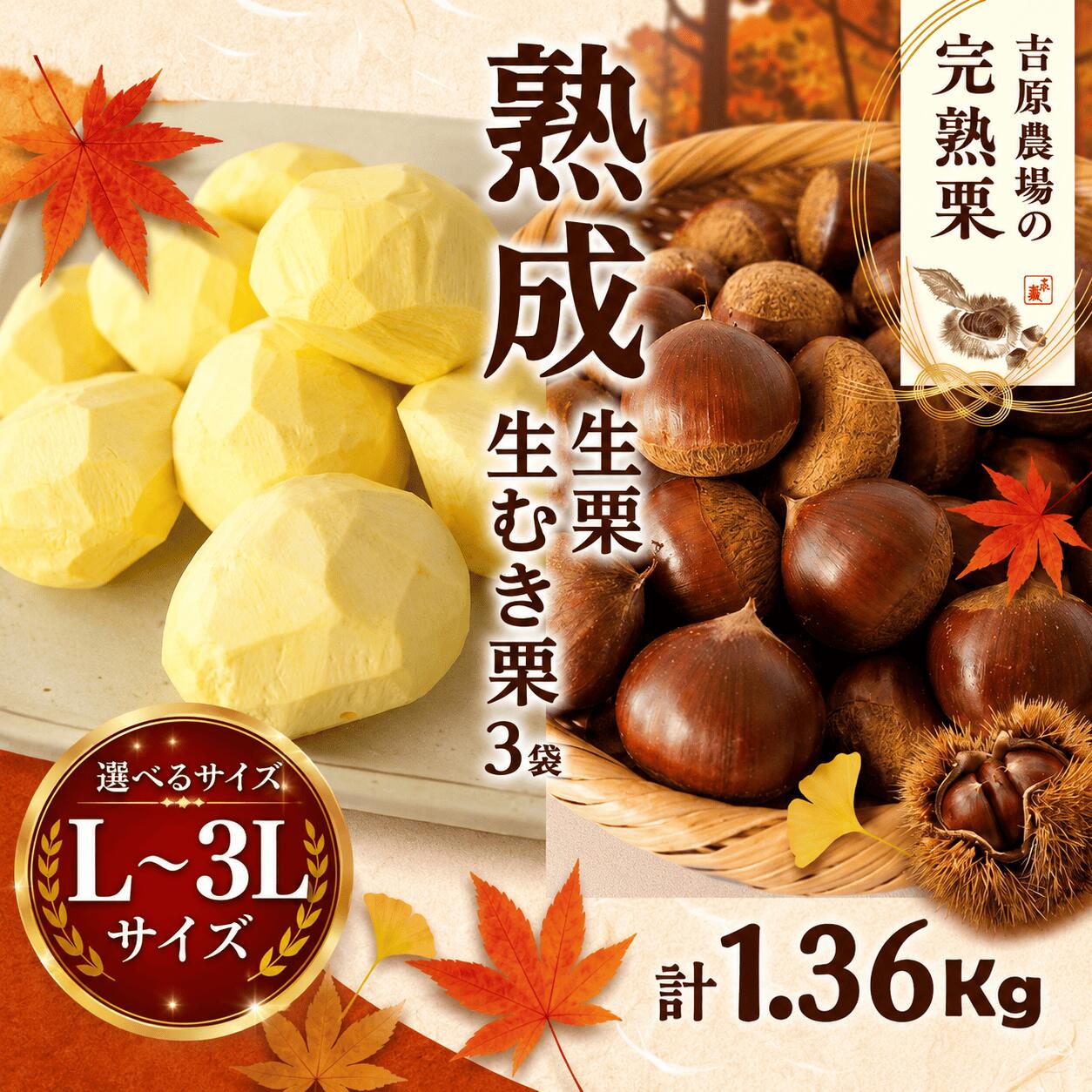 【ふるさと納税】 先行受付 熟成 生栗 生むき栗 セット 選べる 大きさ 生栗 1kg （ Lサイズ / 2L / 3L ） 生むき栗 3袋 令和8年産 完熟 栗 くり クリ 栗ごはん なまぐり 和栗 わぐり 生くり 甘栗 焼き栗 ゆでぐり 料理 和菓子 炊き込みご飯 ごはん 栗きんとん 茨城県 関東