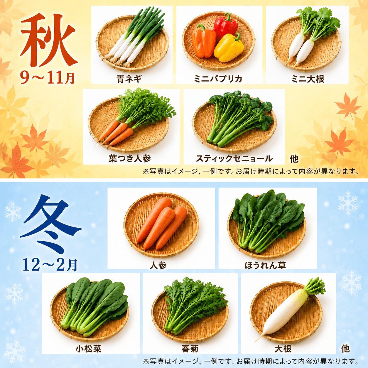 茨城県筑西市の【ふるさと納税】 野菜セット 8種類 定期便 4回 有機野菜 有機 やさい 農薬不使用 化学肥料不使用 旬の野菜 野菜セット 家庭用 一人暮らし 四季 旬 JAS認定 詰め合わせ おまかせ 新鮮 旬 生野菜 やさい yasai 旬の野菜 春 夏 秋 冬 夏野菜 季節 関東 茨城 筑西｜アングル3