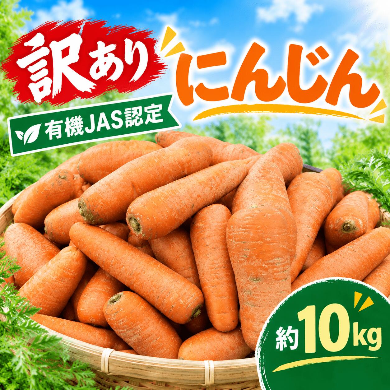  訳あり にんじん 約 10kg 【有機野菜】 JAS認定 野菜 キャロット にんじんジュース アロマレッド ハーブ 家庭用 規格外 根菜 産地直送 やさい ヤサイ yasai 8000円 新鮮 レインボーフューチャー 茨城県 筑西 関東
