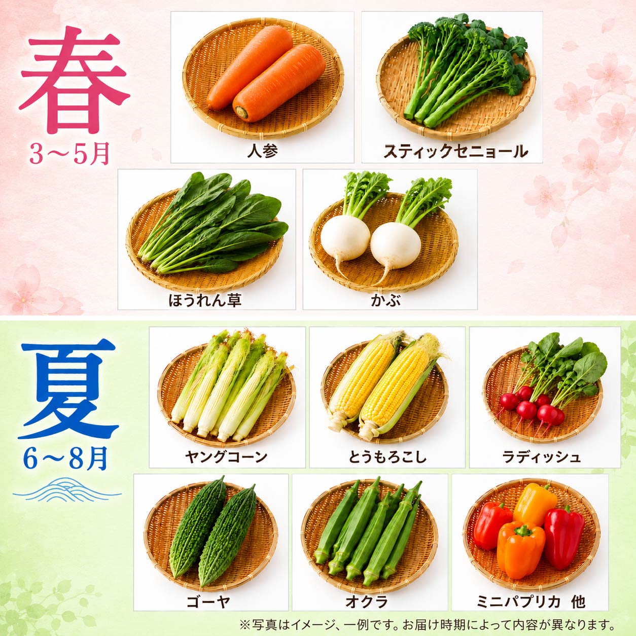 茨城県筑西市の【ふるさと納税】 野菜セット 8種類 定期便 4回 有機野菜 有機 やさい 農薬不使用 化学肥料不使用 旬の野菜 野菜セット 家庭用 一人暮らし 四季 旬 JAS認定 詰め合わせ おまかせ 新鮮 旬 生野菜 やさい yasai 旬の野菜 春 夏 秋 冬 夏野菜 季節 関東 茨城 筑西｜アングル2