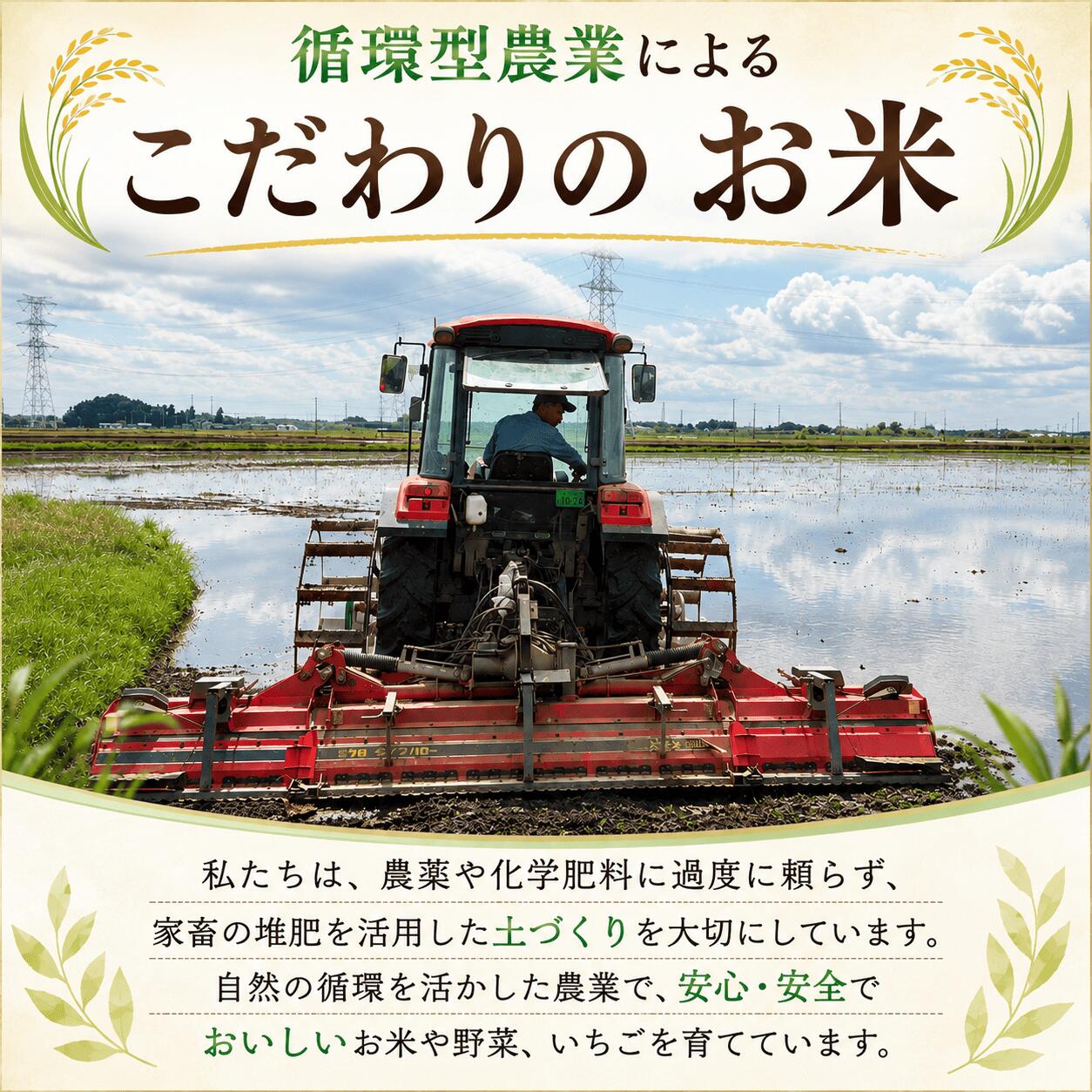 【ふるさと納税】 スピード発送 コシヒカリ 30kg 玄米 令和7年産 お米 【最短3営業日発送】 玄米 ブランド米 令和7年産 米 お米 ライス オコメ コメ 玄米ごはん 玄米30kg 国産 弁当 おこめ ※ 送料無料 茨城県産 R7 30kg 米30kg 30キロ 2025年産 こしひかり げんまい