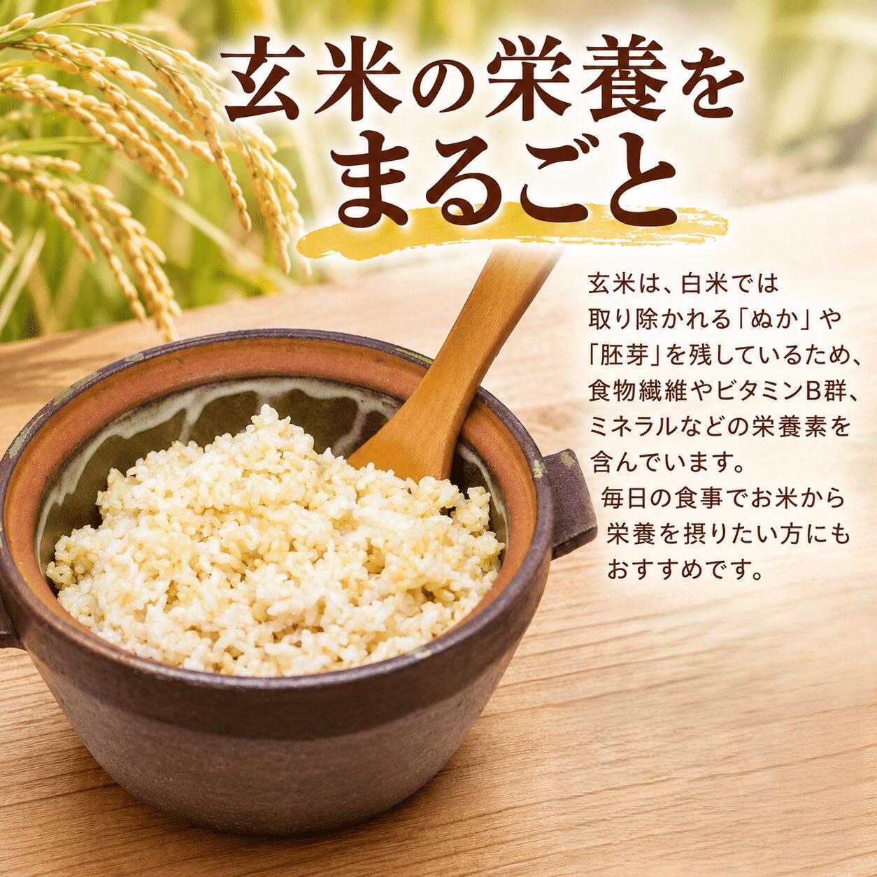 【ふるさと納税】 ＼まもなく発送開始／ 令和8年産 コシヒカリ 選べる 玄米 無洗米 3kg 5kg 10kg 新米 米 お米 数量限定 ご飯 ごはん コメ 白米 ライス げんまい むせんまい こしひかり 2026年産 R8産 銘柄米 茨城県 筑西市新生活 応援 kome okome 茨城県産 国産 f082279-chikusei-10001567 茨城県筑西市 サンプル画像2