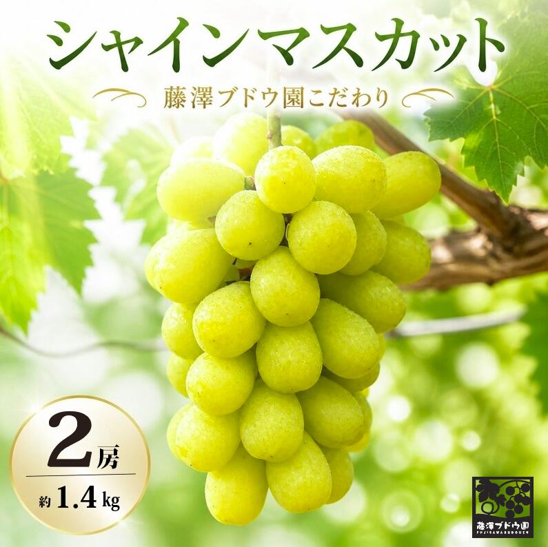 シャインマスカット 1房 2房 約700g 約1.4kg 2026年産 先行予約 数量限定 こだわり マスカット 夏 秋 旬 季節 果物 ぶどう ブドウ 葡萄 フルーツ 筑西 茨城 関東 産地直送 みずみずしい 【 藤澤ブドウ園 】