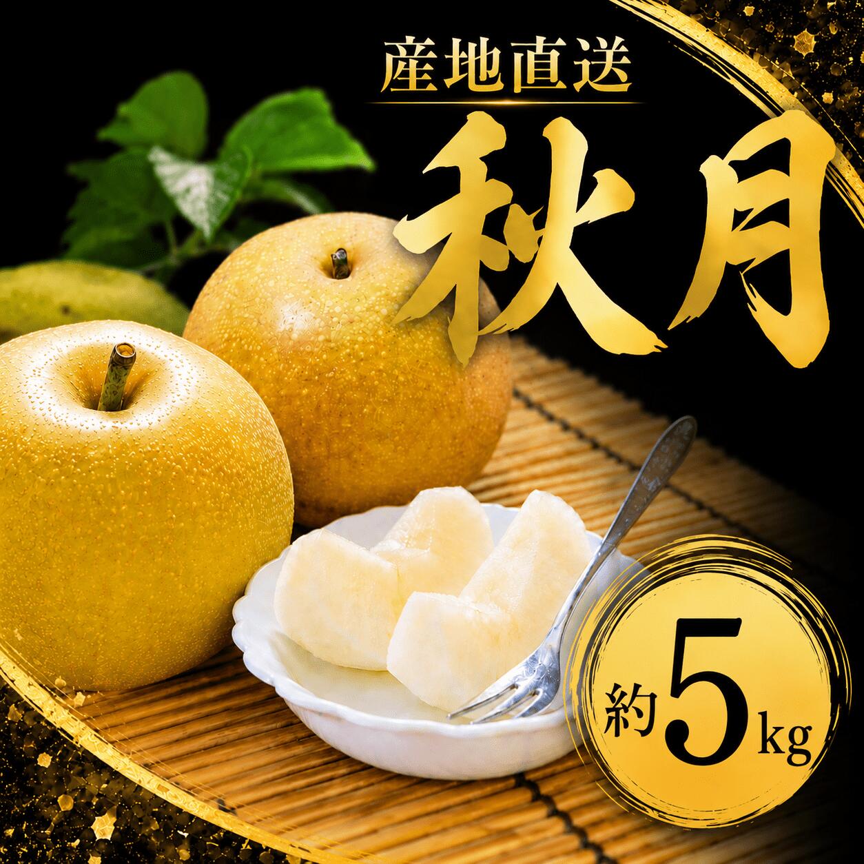 【ふるさと納税】 梨 あきづき 約 5kg (8～12玉) なし ナシ 茨城県産 梨産地 あきづき 秋月 和梨 約 5キロ 1箱 期間限定 果物 旬の果物 くだもの フルーツ デザート 新鮮 甘い fruit nashi 特産品 お取り寄せ グルメ 2026年 令和8年 新鮮 旬 一万円 10000円