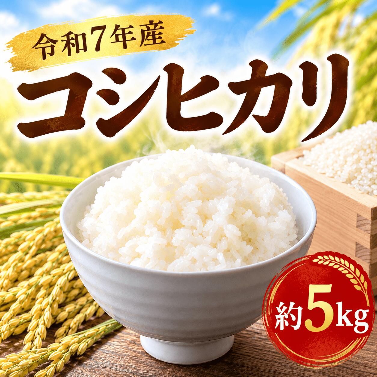 【ふるさと納税】 コシヒカリ 精米 5kg お米 数量限定 ご飯 白米 米 こめ 白米 期間限定 2025年産 R7産 銘柄米 茨城県 筑西 筑西市 新生活 応援 国産 産地直送 関東