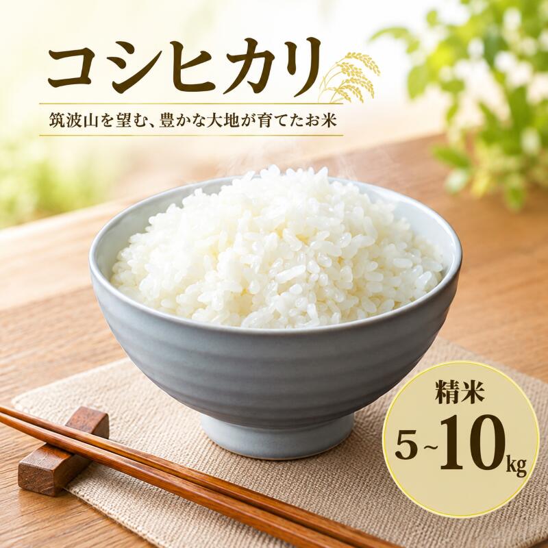 こしひかり 精米 5kg