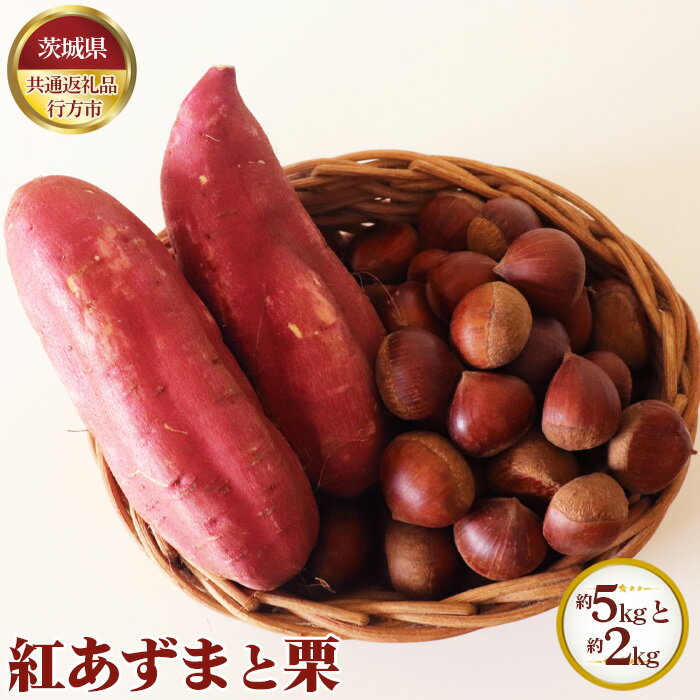 [先行予約]紅あずま 約5kgと栗 約2kg[茨城県共通返礼品 行方市] / 秋 新鮮 さつま芋 サツマイモ くり クリ 野菜 果物 送料無料 茨城県