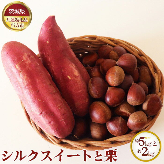 【ふるさと納税】No.636 【先行予約】シルクスイート 約5kgと栗 約2kg【茨城県共通返礼品 行方市】 ／...