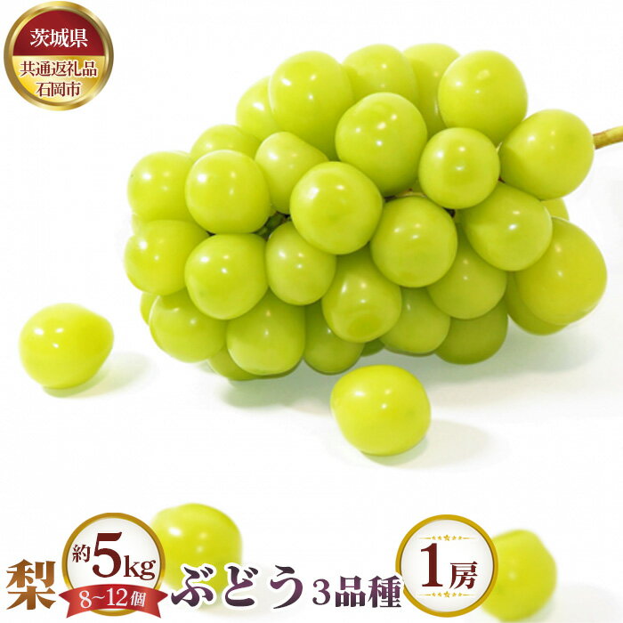 【ふるさと納税】No.651 【先行予約】梨 約5kg(8~12個)とぶどう3品種×1房【茨城県共通返礼品 石岡市】 / なし ナシ ブドウ 葡萄 フルーツ 果物 セット 食べ比べ 詰め合わせ 送料無料 茨城県