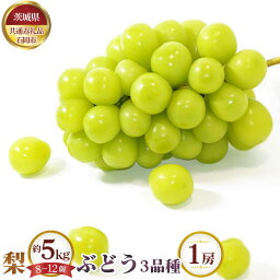 【ふるさと納税】No.651 【先行予約】梨 約5kg（8～12個）とぶどう3品種×1房【茨城県共通返礼品 石岡市】 ／ なし ナシ ブドウ 葡萄 フルーツ 果物 セット 食べ比べ 詰め合わせ 送料無料 茨城県