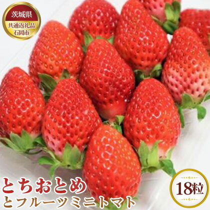 No.682 【先行予約】とちおとめとフルーツミニトマト　18粒【茨城県共通返礼品 石岡市】 ／ 苺 イチゴ いちご とまと 詰合せ セット 送料無料 茨城県