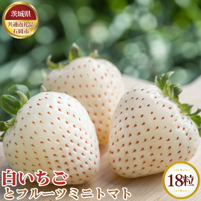 【ふるさと納税】No.683 【先行予約】白いちごとフルーツ