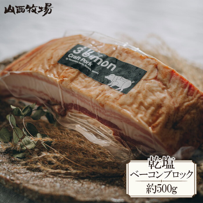 乾塩ベーコンブロック(約500g) / 贅沢 燻製 豚 旨味 しお こだわり 送料無料 茨城県