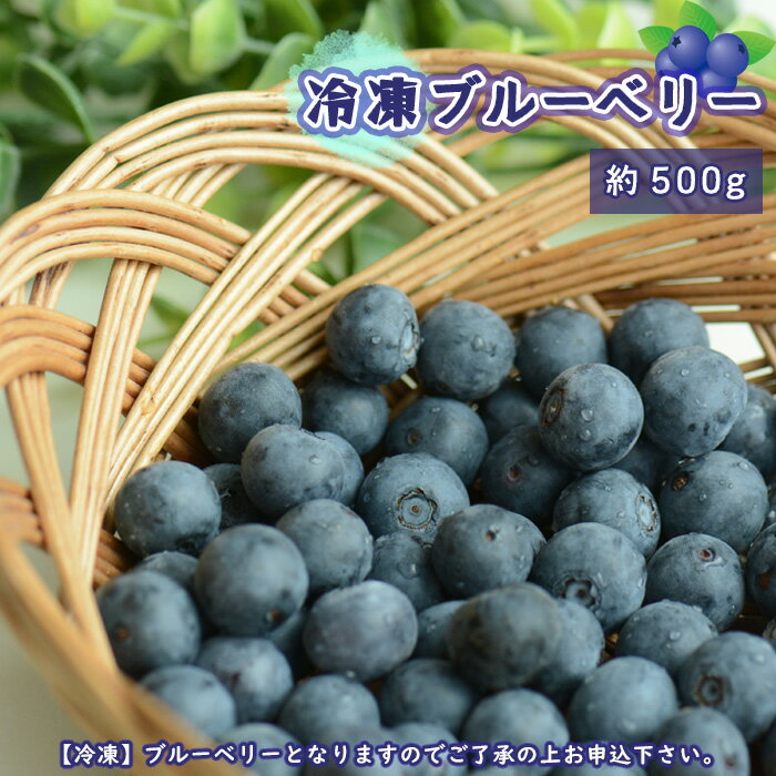 【ふるさと納税】No.720 茨城県坂東市産 冷凍ブルーベリー 約500g ／ 朝摘み 爽やか 甘み トッピング 送料無料 茨城県