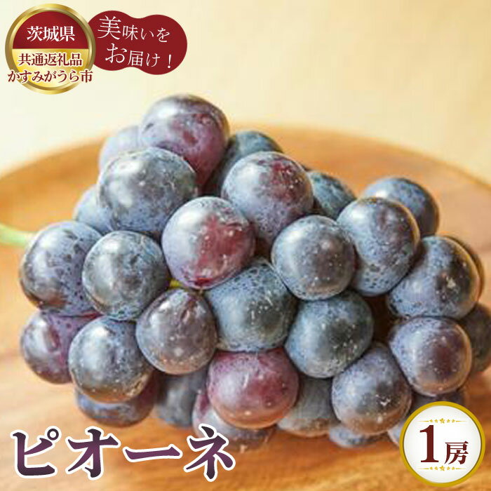 【ふるさと納税】【先行予約】ピオーネ　1房700g　かすみがうら市産【茨城県共通返礼品 かすみがうら市】 ／ 旬 新鮮 葡萄 ブドウ 果物 フルーツ 送料無料 茨城県 No.803