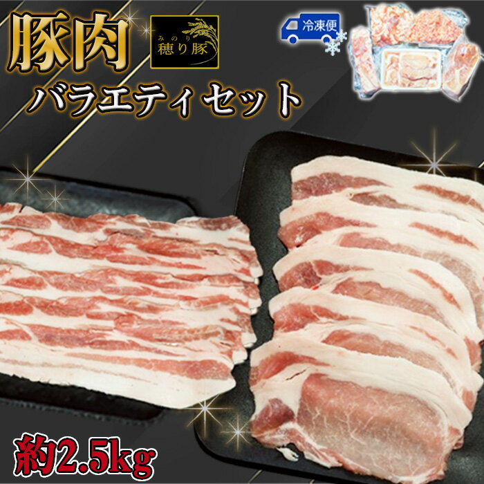 【ふるさと納税】No.840 坂東市産の豚肉バラエティセット 約2.5kg / 背ロース バラ もも 小間切れ ひき肉 セット うま味 送料無料 茨城県