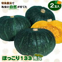【ふるさと納税】No.842 特殊農法で坂東の自然が育てた「ほっこり133南瓜」2玉入 / かぼちゃ カボチャ ホクホク 甘味 品質 糖度 野菜 送料無料 茨城...