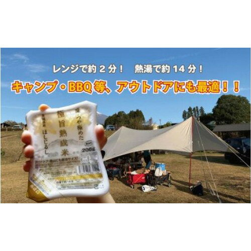 【ふるさと納税】No.003 極旨熟成米 茨城県産ほしじるし（精米5kg＋パックごはん6個セット） ／ お米 大粒 精米 もちもち 送料無料 茨城県