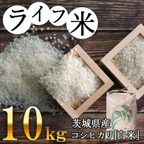 【ふるさと納税】No.004 コシヒカリ・白米 10kg　令和4年産【ライフ米】 ／ お米 低タンパク米 こしひかり 送料無料 茨城県のサムネイル