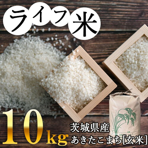 坂東市産あきたこまち（玄米）10kg ／ 食味計分析 低たんぱく米 ぷちぷち食感 噛み応え 香ばしい風味 家庭用 大容量 まとめ買い 毎日のごはん 炊飯器調理 浸水調理 おにぎり 炊き込みご飯 食材ストック 常温配送 お米 ごはん 厳選 No.006