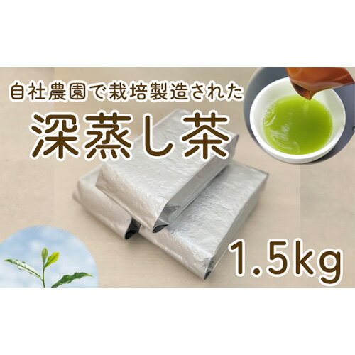 No.030 毎日茶 深蒸し茶 1.5kg ／ 深蒸茶 自社生産 送料無料 茨城県