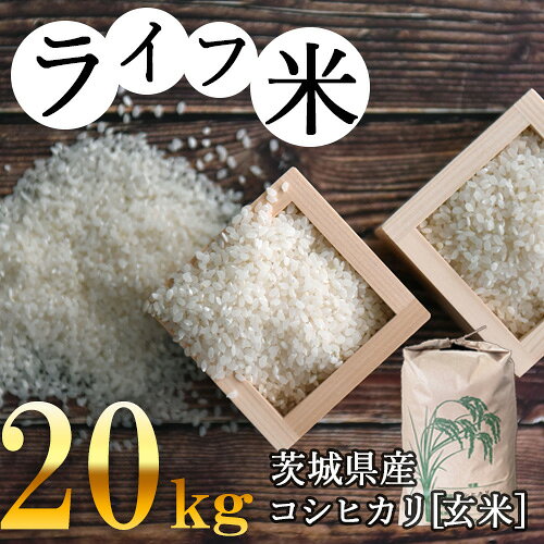 コシヒカリ・玄米 20kg 令和4年産【ライフ米】 ／ コシヒカリ 玄米 米 お米 20kg 令和4年産 ライフ米 食味計 低タンパク米 厳選 冷暗所保存 常温便 No.123