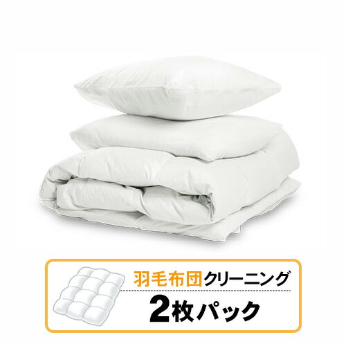 【ふるさと納税】No.160 羽毛布団クリーニング 2枚パック / キット 布団 送料無料 茨城県
