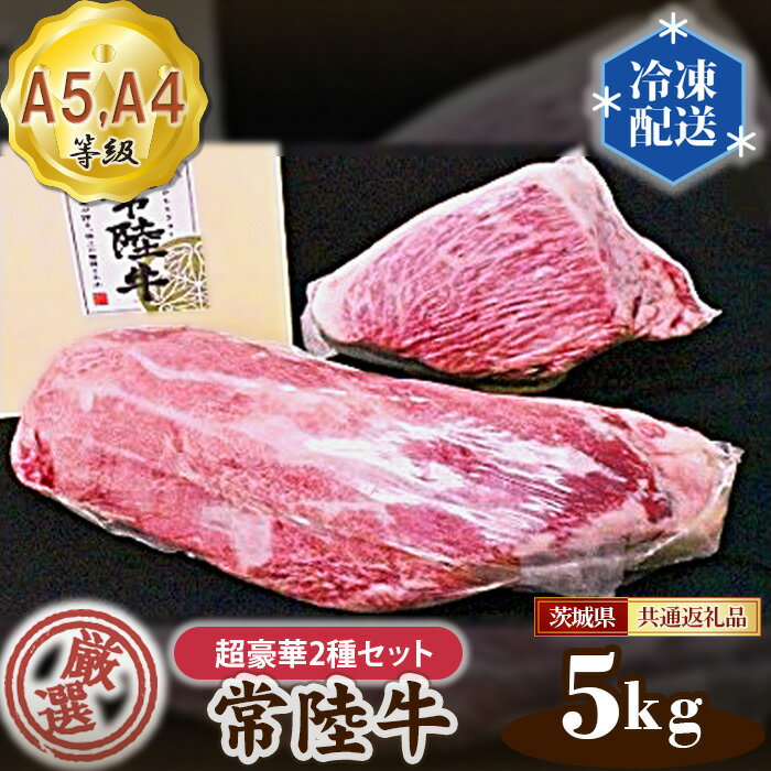 【ふるさと納税】No.168 常陸牛 厳選！超豪華2種セット約5kg（A5・A4等級）＜茨城県共通返礼品＞ ／ 牛肉 カルビ もも 茨城県産 送料無料 茨城県