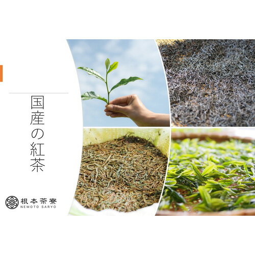 【ふるさと納税】No.174 さしま和紅茶ペットボトル ／ さしま茶 国産紅茶 無糖 無香料 送料無料 茨城県