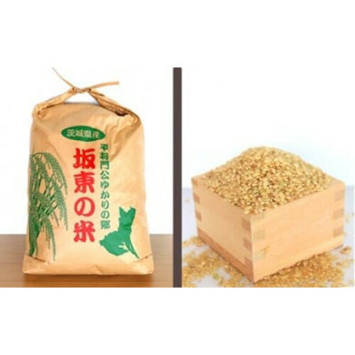 【ふるさと納税】No.175 【令和5年産】茨城県坂東産　コシヒカリ10kg（玄米） ／ お米 こしひかり 旨み 粘り 送料無料 茨城県